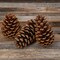 Cinnamon Pine Cones Scented - 50 Pieces Large 3-5 inches - Cinnamon Pinecones Decor - Rustic Christmas Decor - Pinecones - Pine Cone Ornaments - Pinecones for Crafts